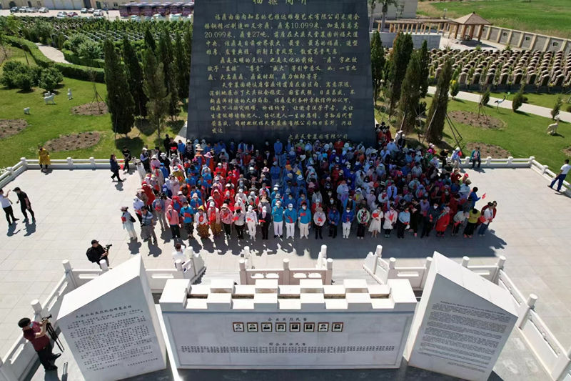 1654936413267023.jpg 10.jpg